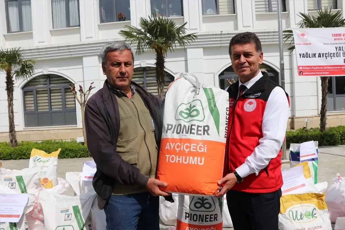 Yalova’da 51 Çiftçiye Ayçiçeği Tohumu Dağıtıldı